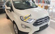 Bán nhanh chiếc Ford EcoSport Titanium năm 2019, màu trắng, 5 chỗ, số tự động Bán nhanh chiếc Ford EcoSport Titanium năm 2019, màu trắng, 5 chỗ, số tự động