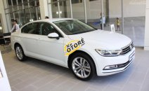 Volkswagen Passat 2017 - Hotline: 0906.876.854, Cần bán xe Volkswagen Passat sản xuất 2017, màu trắng, xe nhập