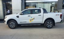 Bán Ford Ranger XLS đời 2019, màu trắng, xe nhập, số tự động Bán Ford Ranger XLS đời 2019, màu trắng, xe nhập, số tự động
