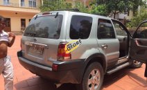 Bán Ford Escape 3.0 V6 năm sản xuất 2002, màu bạc Bán Ford Escape 3.0 V6 năm sản xuất 2002, màu bạc