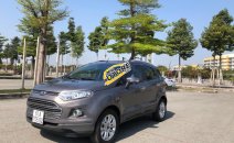 Bán Ford EcoSport Titanium 1.5L AT đời 2014, màu nâu Bán Ford EcoSport Titanium 1.5L AT đời 2014, màu nâu