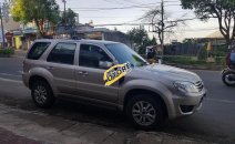 Xe Ford Escape AT sản xuất 2009, màu xám Xe Ford Escape AT sản xuất 2009, màu xám