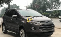 Bán Ford EcoSport Titanium 1.5L AT năm sản xuất 2015, màu nâu, 475tr Bán Ford EcoSport Titanium 1.5L AT năm sản xuất 2015, màu nâu, 475tr