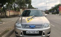 Cần bán Ford Escape đời 2009, màu vàng, 320tr Cần bán Ford Escape đời 2009, màu vàng, 320tr