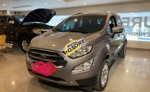 Cần bán xe Ford EcoSport Titanium năm sản xuất 2018 Cần bán xe Ford EcoSport Titanium năm sản xuất 2018