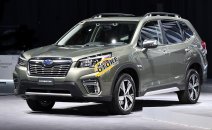 Cần bán nhanh chiếc Subaru Forester giá thấp, sản xuất 2019, nhập khẩu nguyên chiếc Cần bán nhanh chiếc Subaru Forester giá thấp, sản xuất 2019, nhập khẩu nguyên chiếc