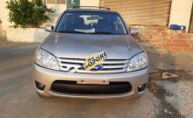 Bán Ford Escape AT năm sản xuất 2009, màu hồng Bán Ford Escape AT năm sản xuất 2009, màu hồng