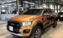 Bán Ford Ranger Wildtrak 2.0L năm 2018, màu nâu, xe nhập Thái Bán Ford Ranger Wildtrak 2.0L năm 2018, màu nâu, xe nhập Thái