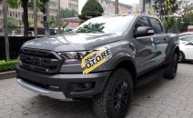 Cần bán Ford Ranger Raptor năm 2020, màu xám, nhập khẩu Thái Cần bán Ford Ranger Raptor năm 2020, màu xám, nhập khẩu Thái