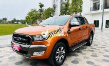 Ford Ranger  Wildtrack  2017 - Cần bán lại xe Ford Ranger Wildtrack năm sản xuất 2017, màu nâu còn mới