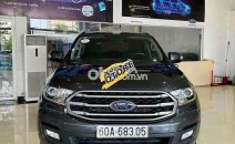 Ford Everest 2019 - Xe nhập Thái Lan